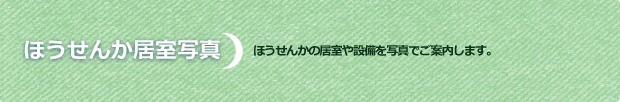 ほうせんかの居室写真